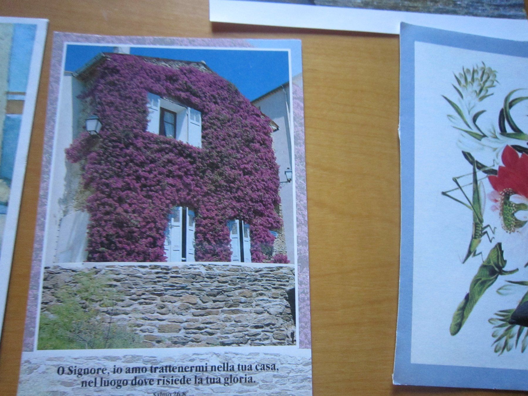 Cartes postales: No2 Postkarten Blumen Kunst – D'occasion à Gordola par Polentaefung 5
