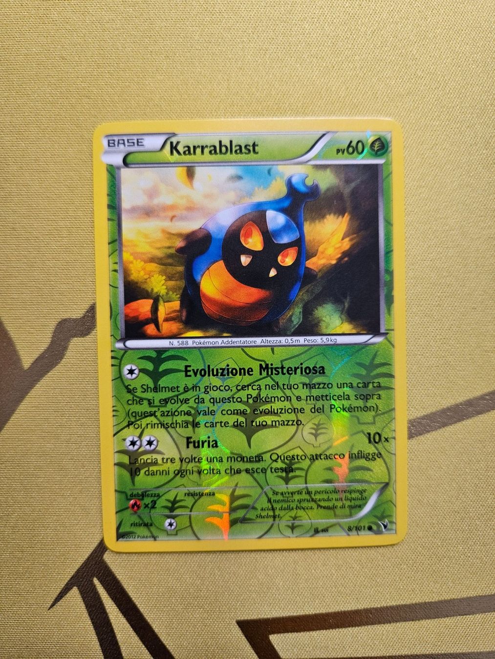 Pokémon Carte collezionabili: Noble Victories - Karrablast – Usato da Bellinzona venduto da Pokemarco