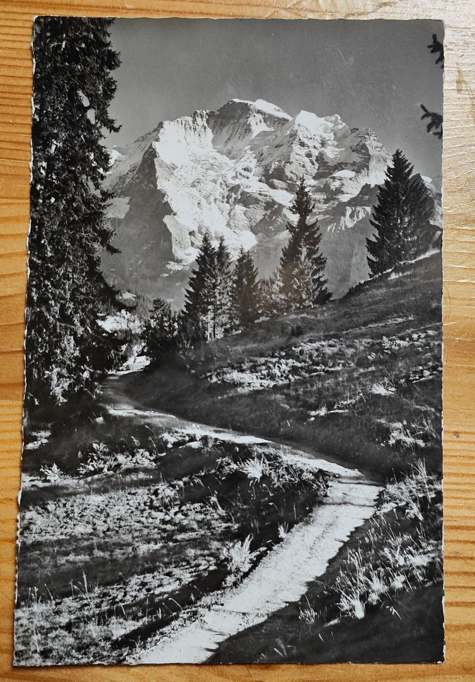 Ansichtskarten: Bei Mürren-Blick auf die Jungfrau – Gebraucht aus Hittnau von stamps_and_coins