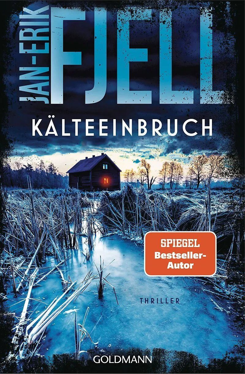 Libri: Spannende Thriller – Usato da bern venduto da jeannie2006 9