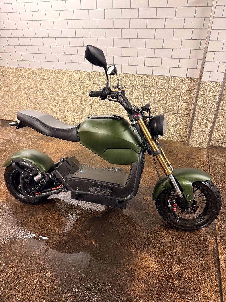 Züriflizzer Scooter: City Max Rs Pro – Usato da Zürich venduto da jsa_b5xn 2