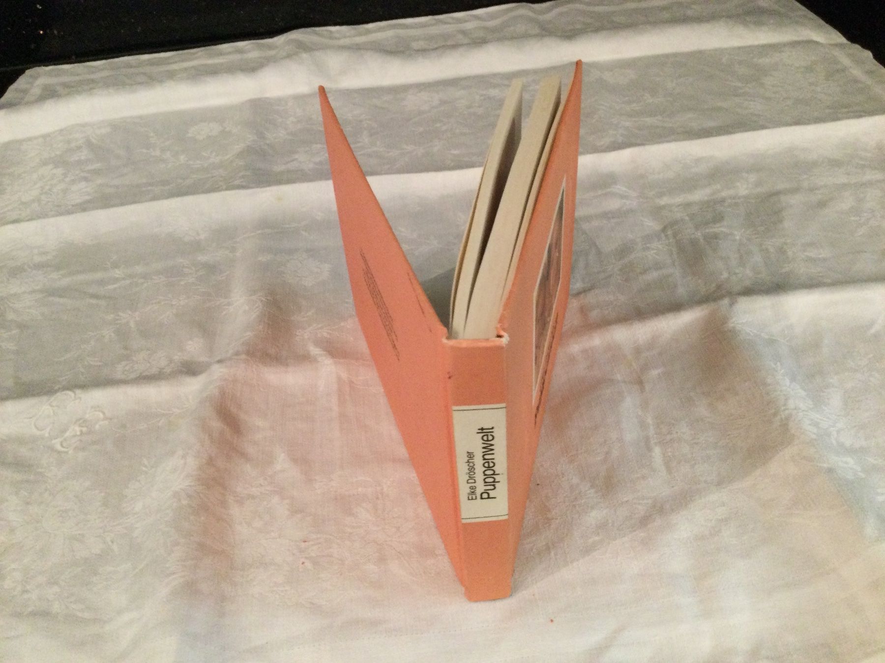 Spielzeuge: Elke Dröscher Bibliophile Taschenbücher – Gebraucht aus Münchenbuchsee von kruseli 1