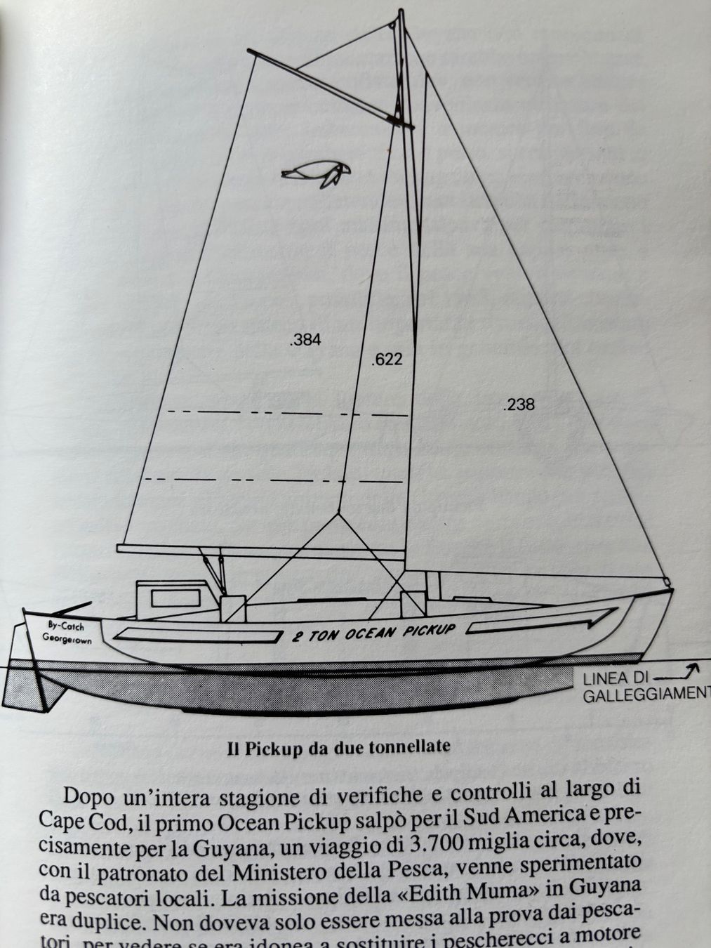 Bücher: PROGETTARE SECONDO NATURA-ELEUTHERIA 1989 – Neu (gemäss Beschreibung) aus PARADISO von pin_vlj8 5