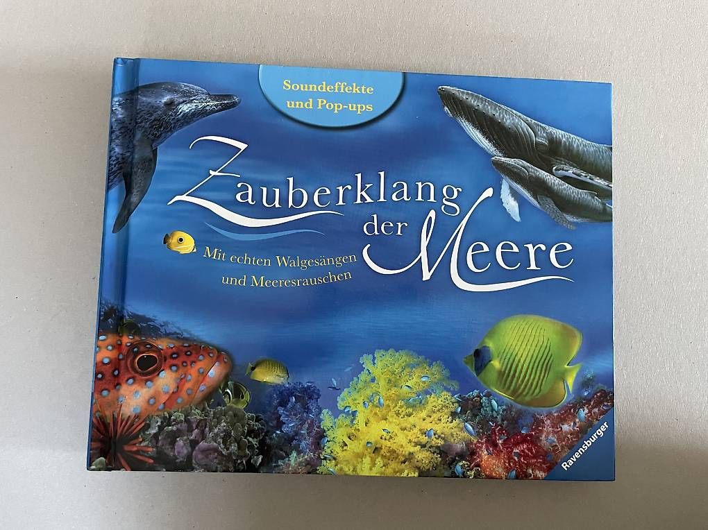 Bücher: Zauberklang der Meere Pop-Up Buch – Gebraucht aus Biel/Bienne von pbeverin