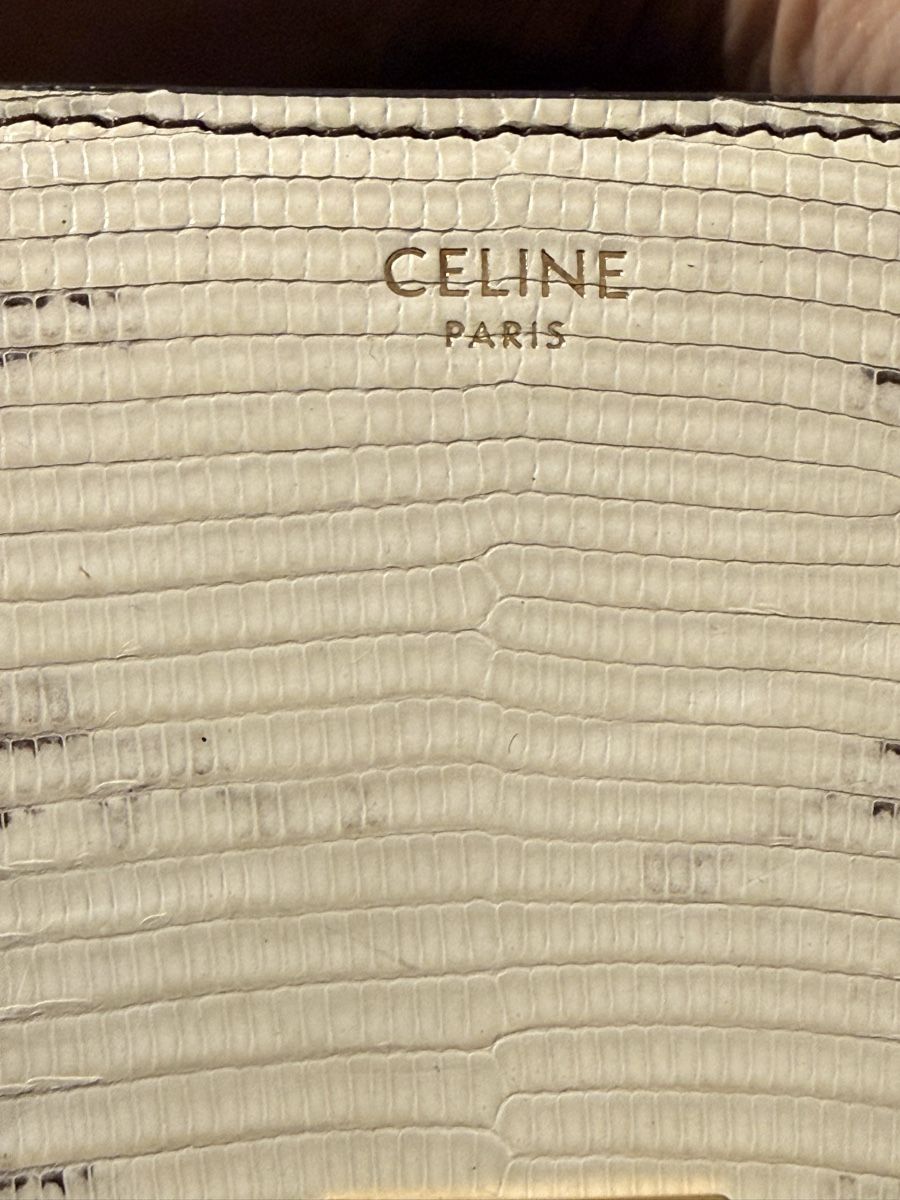 Celine Borse da donna: Celine Triomphe Bag – Exotic Lizard Finish – Usato da Crans VS venduto da gj5c_channel 7