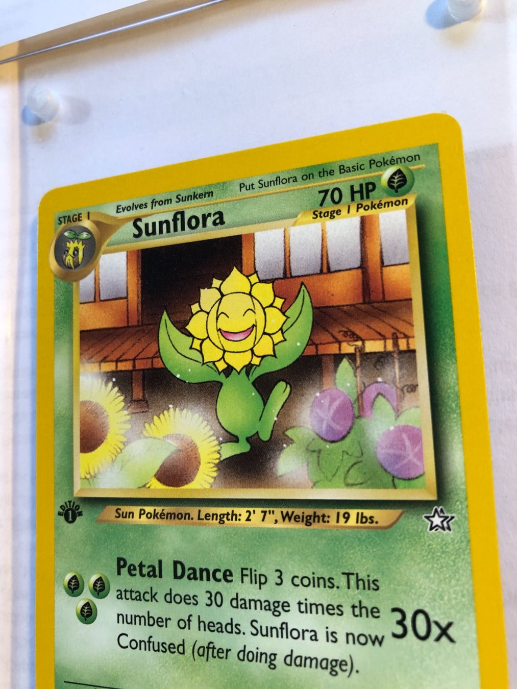 Carte collezionabili: Sunflora (unc.) 1st Neo Genesis - MINT - ab 1.- – Usato da Giubiasco venduto da dan_pr8b 3