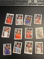 Alle 12 verschiedenen Panini Cola Sticker WC 2026