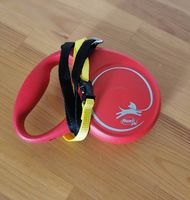Laisse Flexi + collier petit chien  Leine Halsband chat