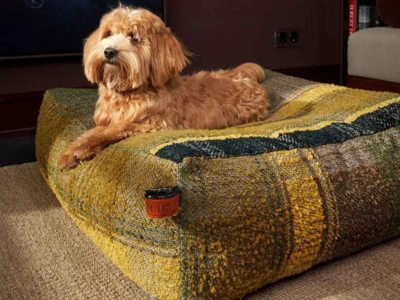 Liege- & Schlafplätze: Hundebett Cube Tartan Green von CLOUD7 – Gebraucht aus Pfäffikon SZ von Gschmois26 2