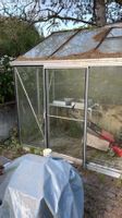 Gewächshaus Aluminium Glas (hintere Seite Plexiglas)
