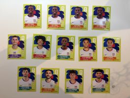 Panini FIFA USA Team 13 Stücke