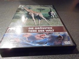 DVD Die grössten Tiere der Welt