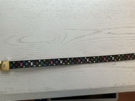 Stylish LV Belt With Colorful Logo