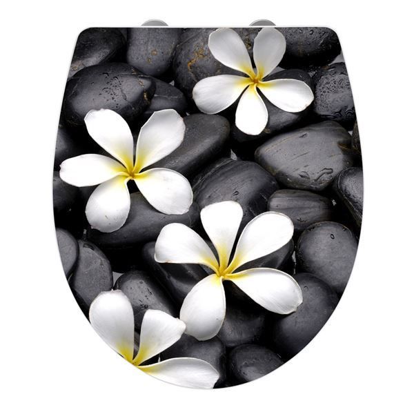 WC: WC-Sitz mit Absenkautom. ACRYL - BLOOM – Nuovo e nell'imballaggio originale da Rupperswil venduto da big-one-sale