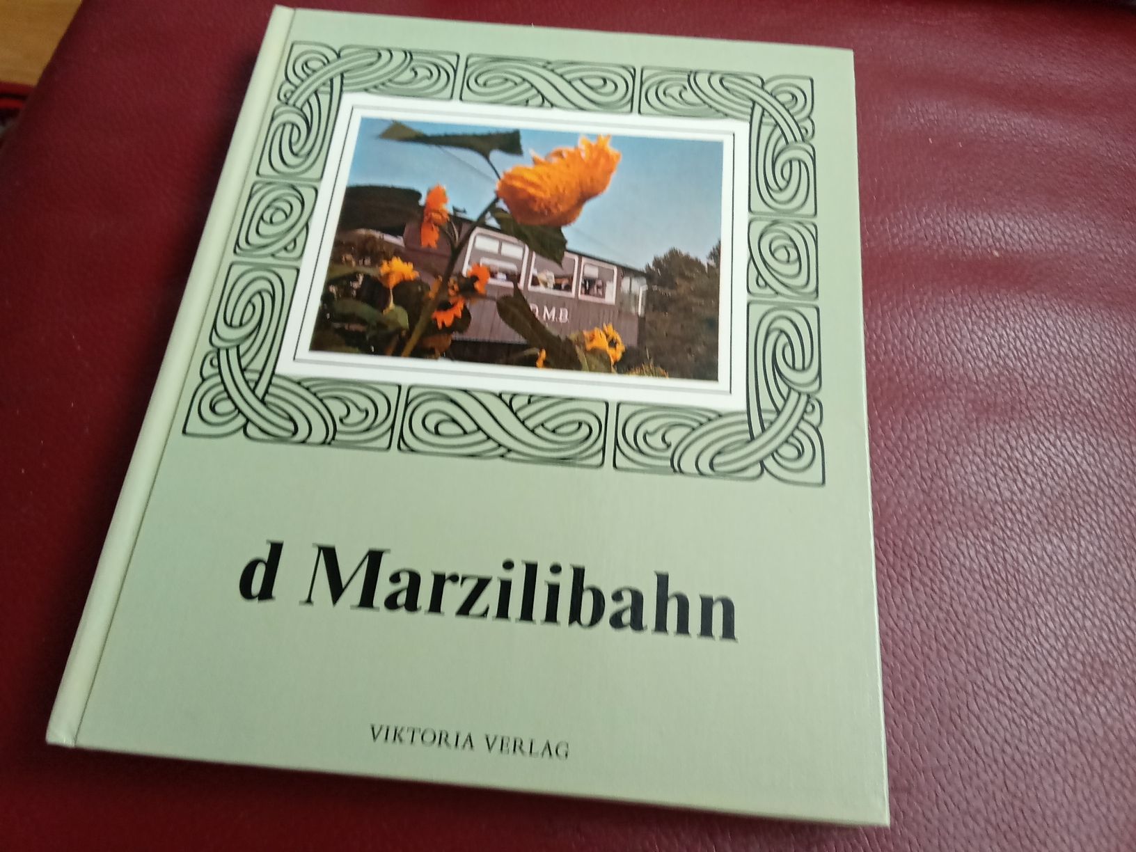 Libri: D MARZILIBAHN – Usato da Muri BE venduto da Alk