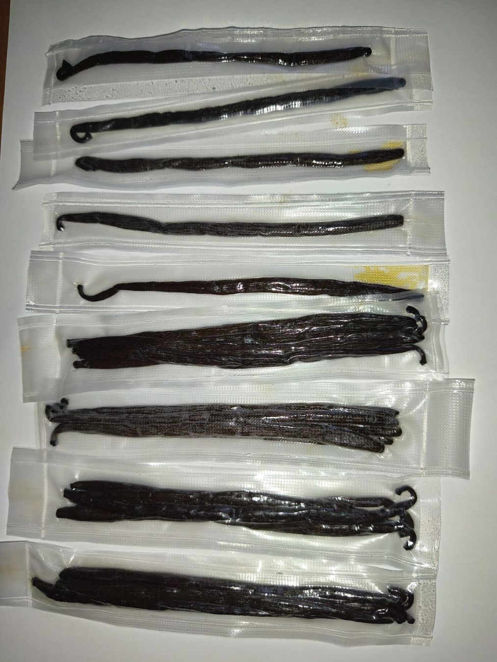 Lebensmittel & Spezialitäten: Vanille aus Madagaskar 🇲🇬 – Neu und originalverpackt aus Boudry von sportethobby 3