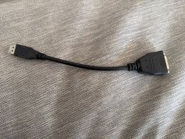 DisplayPort to DVI Adapter Cable - Essential for your PC!