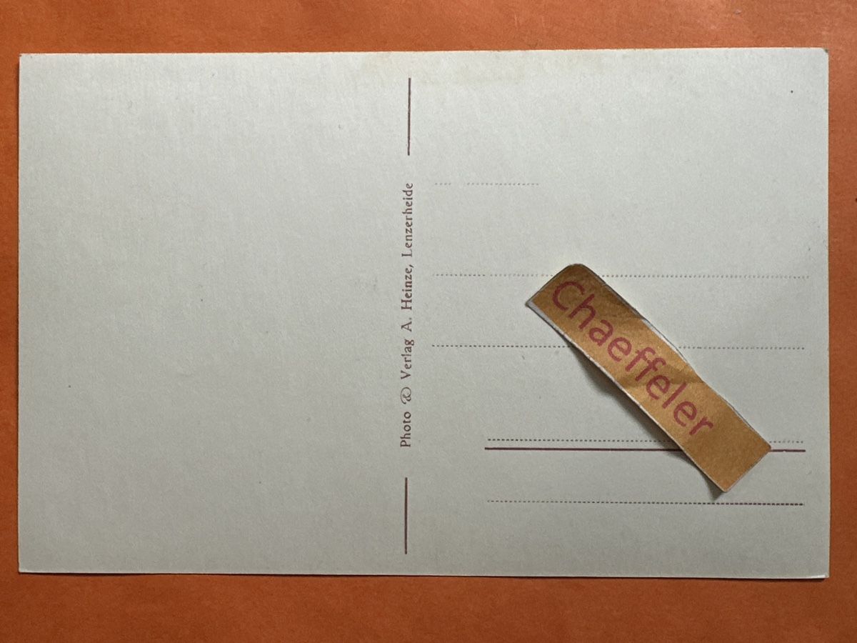 Cartoline postali: 318 Lenzerheide gegen Valbella – Usato da Zürich venduto da Chaeffeler 1