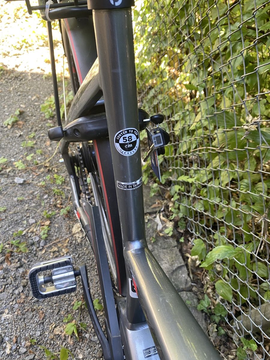 Bosch Biciclette: BOSCH CENTURION 25km – Usato da Luzern venduto da Goodmorning_16 8