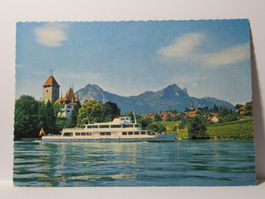 Schiff , *  Beatus    *