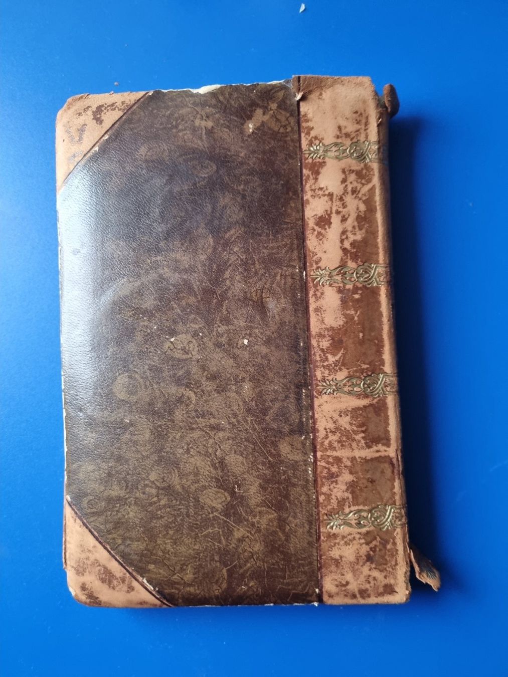 Libri: Buch Koch Rezepte – Difettoso da Schaffhausen venduto da Leveron13 5