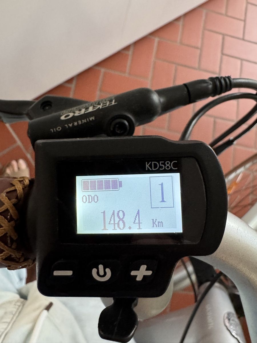 Biciclette: Allegro E-Bike, Top Zustand – Usato da Zürich venduto da MarcelMarina 9
