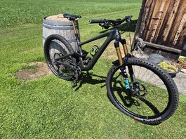 Specialized Enduro Custom, Top Bike