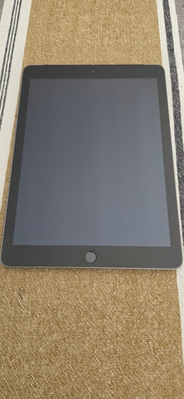 Apple Tablettes PC: Apple iPad 9.7 | 5. Generation | 128GB | WIFI + SIM – D'occasion à Beinwil am See par star_link