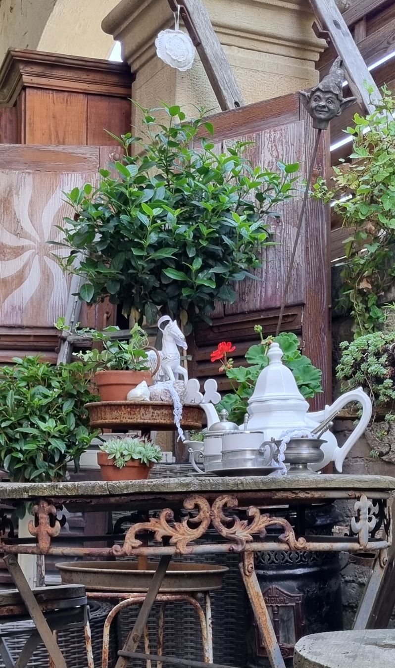 Set di tavolo e panche: Antikes Gartentisch Set*Atelier-elisa  – Usato da Wohlen AG venduto da Atelier-Elisa 5