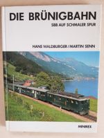 Die Brünigbahn, SBB auf schmaler Spur, Minirex