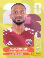 Panini FIFA World Cup QAT 15