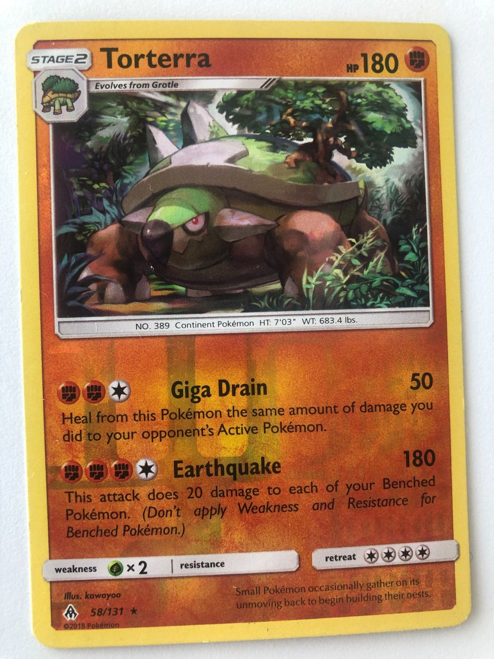 Pokémon Carte collezionabili: Pokemon Torterra 58/131 Engl. – Usato da Bassersdorf venduto da sammelfloh
