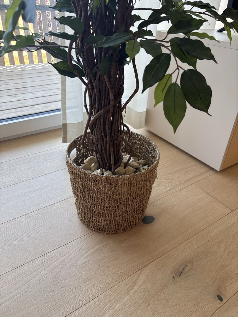 Plantes & graines: Kunstpflanze gross – D'occasion à Aristau par default0 2