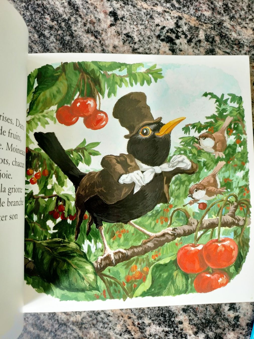 Bücher: Merlin le Merle Antoon Krings – Gebraucht aus Cortaillod von rozinna 1