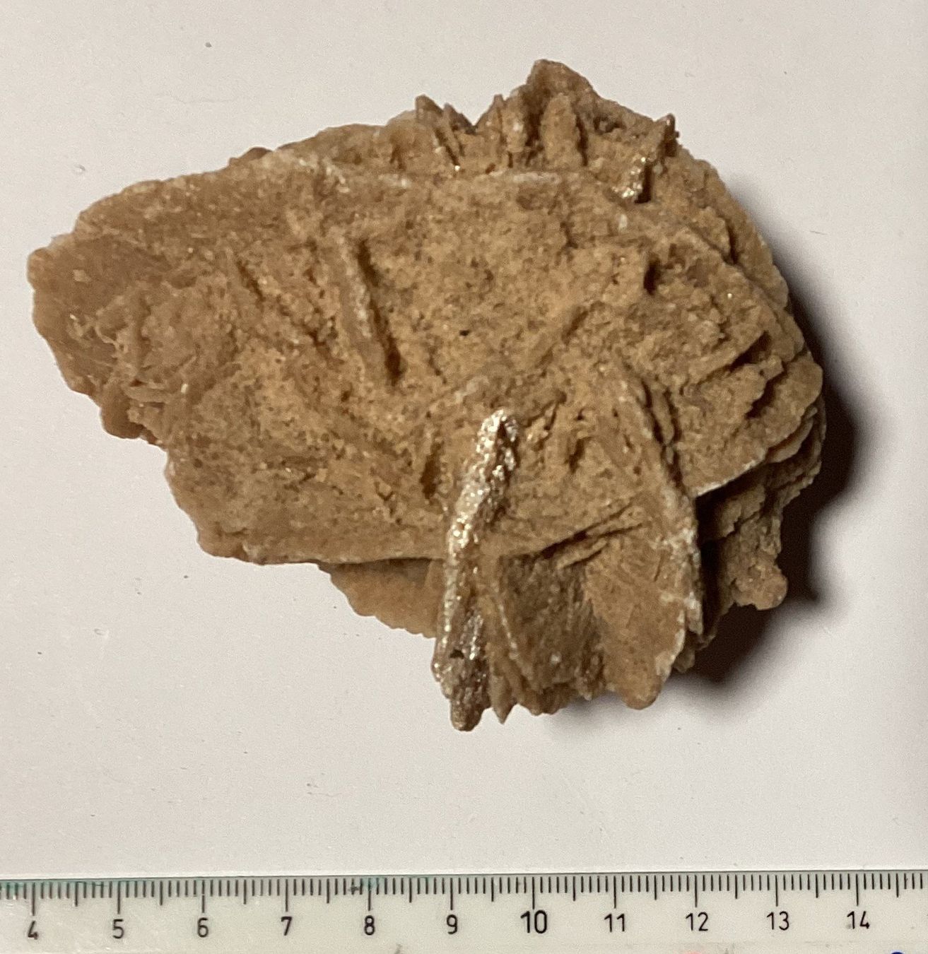 Mineralien & Heilsteine: Rosa del deserto – Gebraucht aus Arogno von alan_service 1