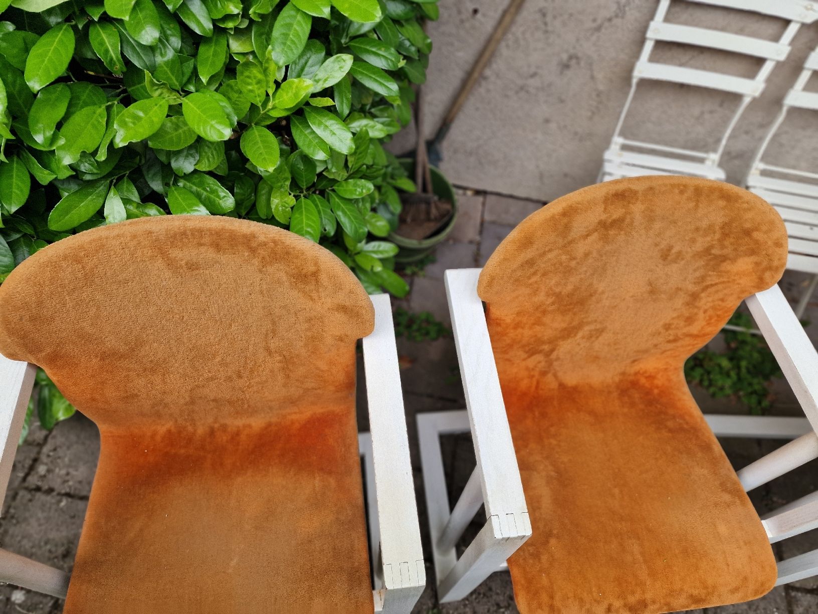 Sedie: Vintage Stühle mit orangefarbenem Bezug, Samtstoff – Usato da BERN venduto da Intarsia 2