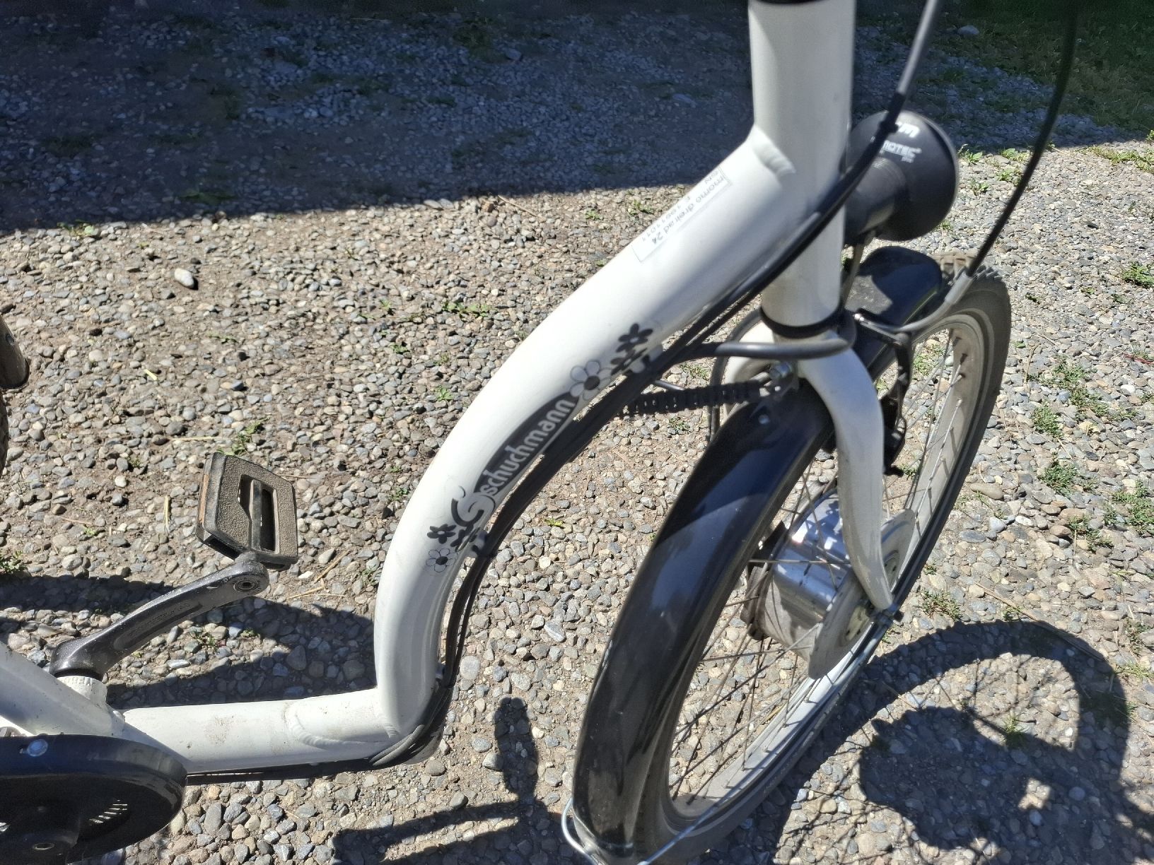 Biciclette: Dreirad E-Bike Schuchmann mit Akku.  – Usato da Thierachern venduto da ret_s959 4