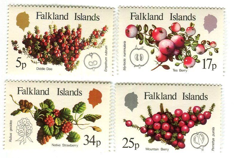 Tutti i francobolli: Briefmarken "Obst & Beeren". Falklandinseln – Nuovo e nell'imballaggio originale da Basel venduto da Butsch5