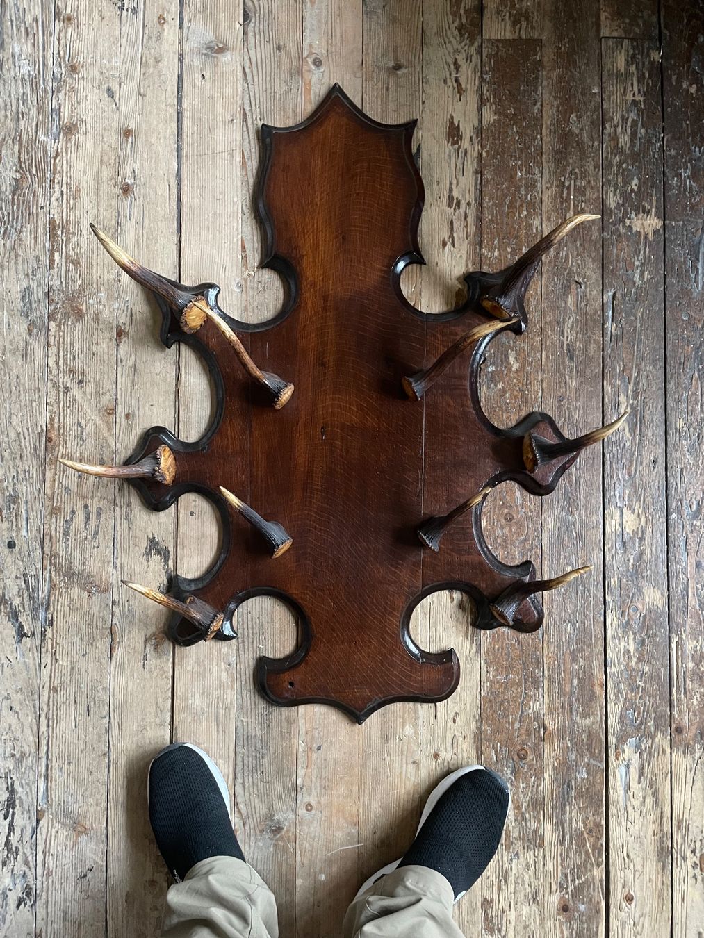 Garderobe: Geweihgarderobe – Gebraucht aus Bretzwil von neuguinea 1
