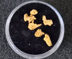 Goldnugget aus Schottland