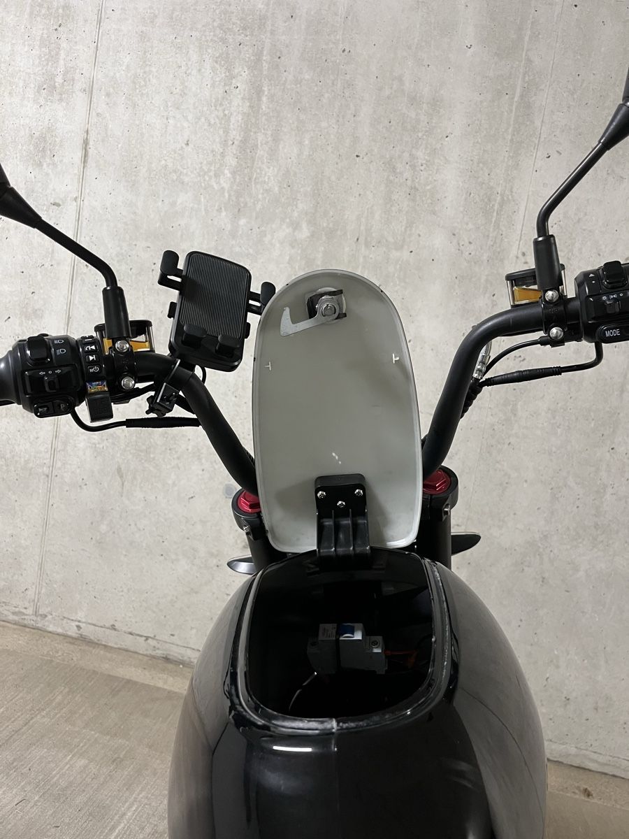 Veicoli elettrici: Züriflizzer City Max RS PRO – Usato da Wolfhausen venduto da Joshua_Ricardo 6