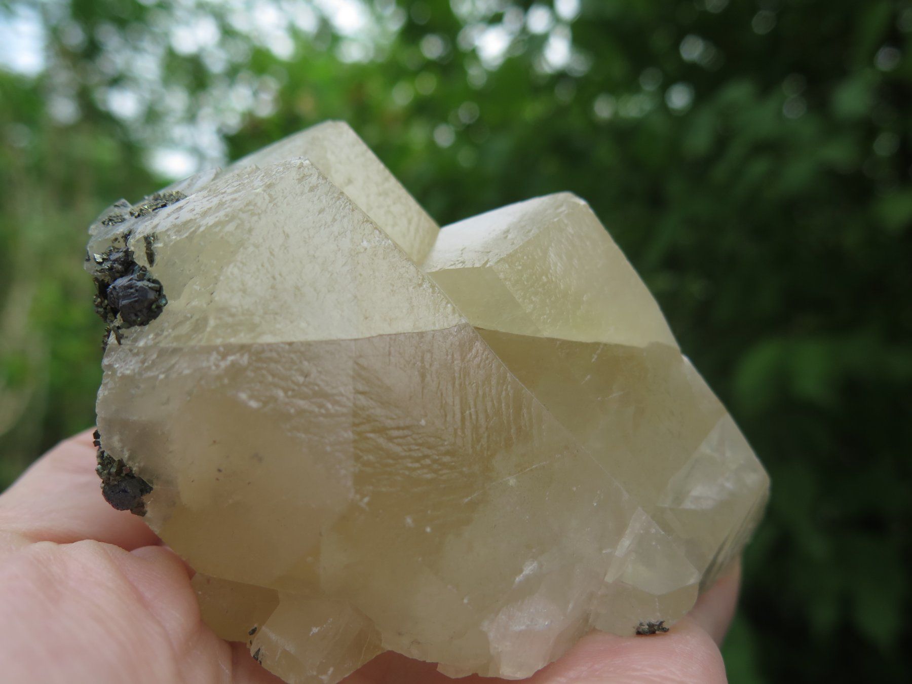 Mineralien & Heilsteine: Kanonenspat Calcit von USA – Gebraucht aus Schaffhausen von Yamakana51L8736OQ8 8