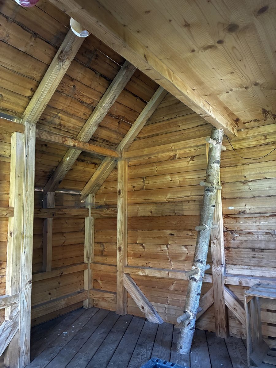 Casette per bambini: Spielhaus zu Verkaufen – Usato da Dörflingen venduto da Dommervogel 3