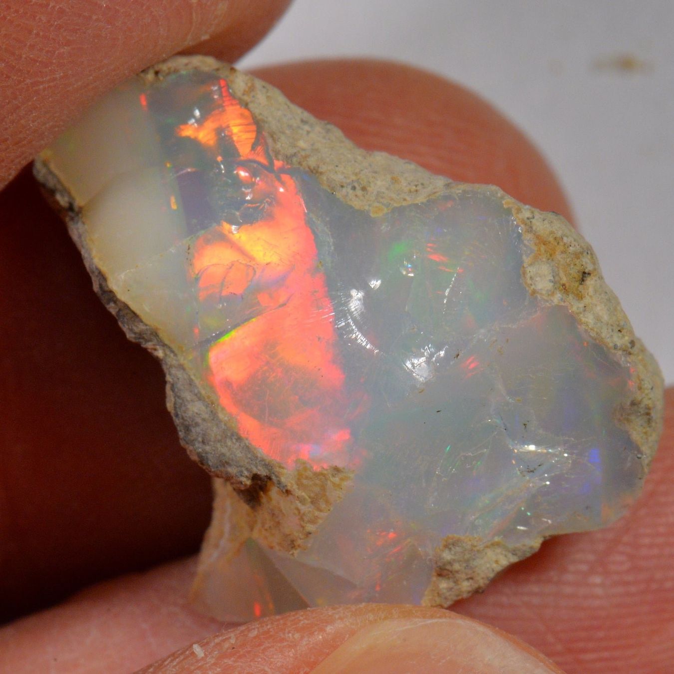 Pietre preziose: 19.7 Karat - Roher Äthiopischer Welo Opal – Nuovo (secondo la descrizione) da Rüti ZH venduto da DeinOpal 1