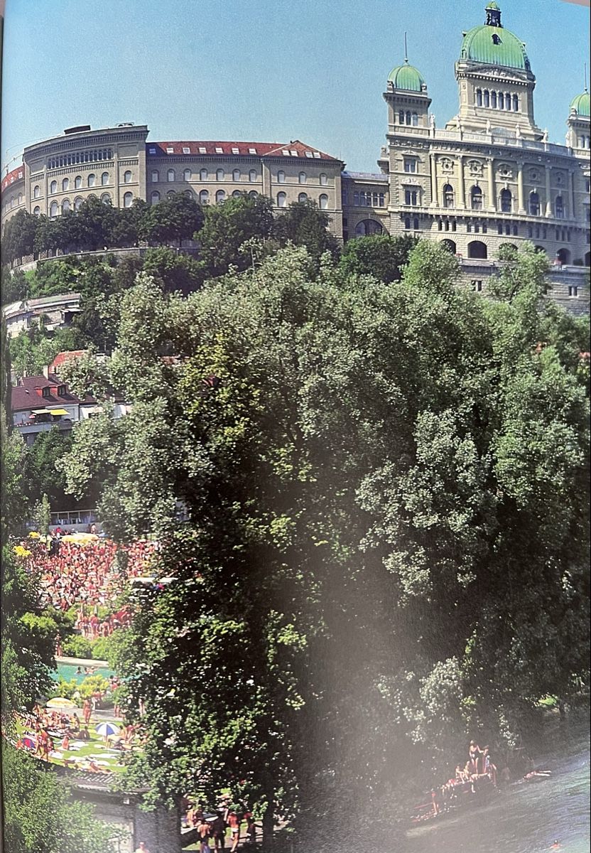 Libri: Die Aare Natur, Geschichte u. Kultur eines Schweizer Flusses – Nuovo (secondo la descrizione) da Oberhofen Thun'see venduto da SwissTreasure 9