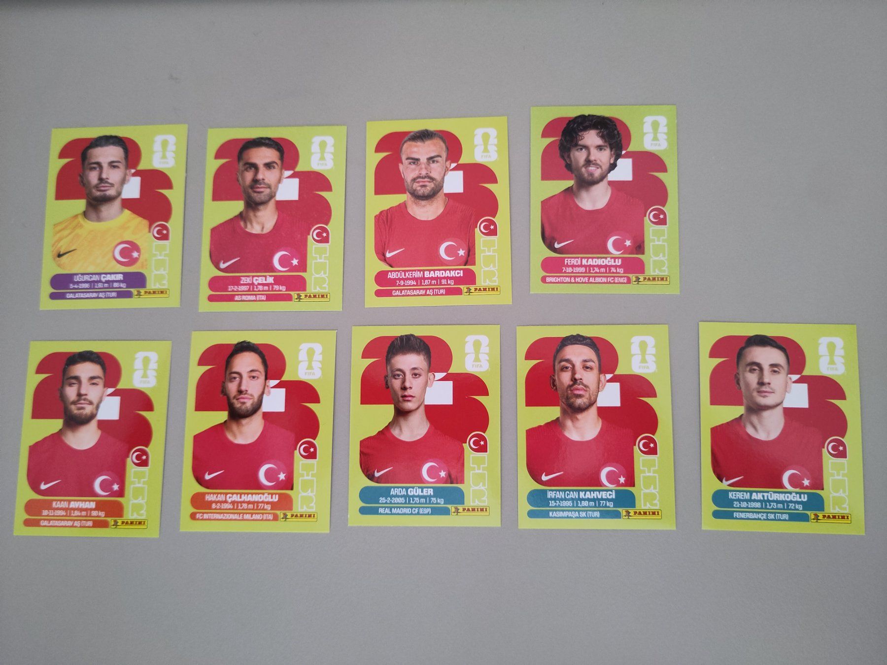 Panini Carte collezionabili: FIFA Panini Türkiye (TUR) – Usato da Bern venduto da gil_rkx8