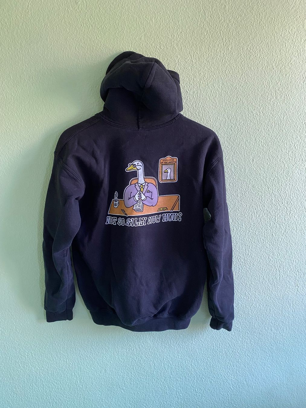 Maglioni & Felpe: ALAB Hoodie S Schwarz – Usato da Basel venduto da Larry24 1