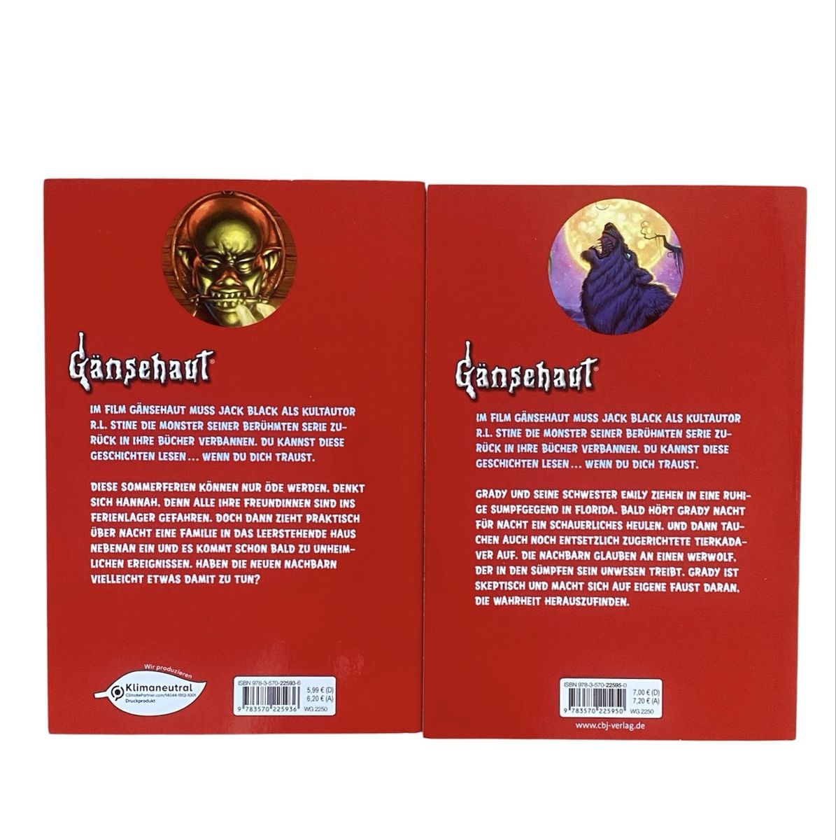 Libri: Gänsehaut R.L. Stine Bündel – Usato da Bonstetten venduto da zweitihand.shop 3