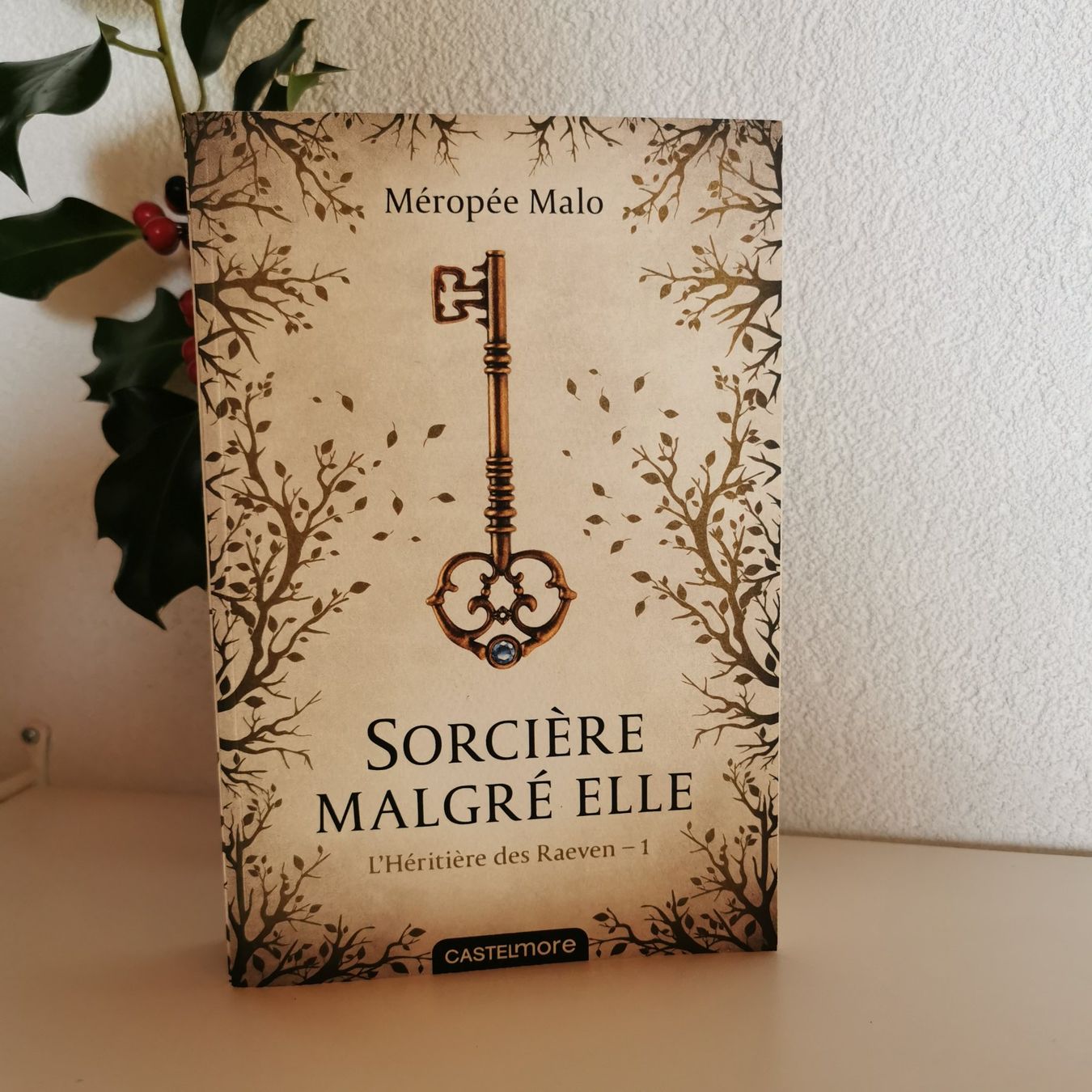 Bücher: Sorcière malgré elle #1 - Méropée Malo – Neu (gemäss Beschreibung) aus Veytaux von lelivreouvert