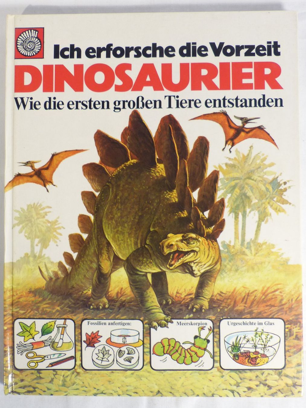 Libri: Dinosaurier Buch für Kinder – Nuovo (secondo la descrizione) da Zürich venduto da botschinski